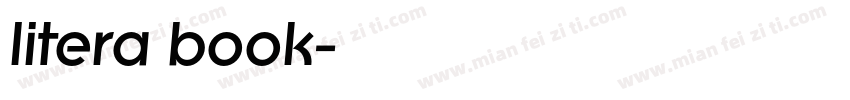 litera book字体转换